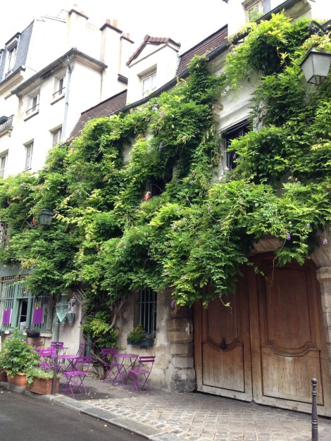 Wisteria on a building across the street