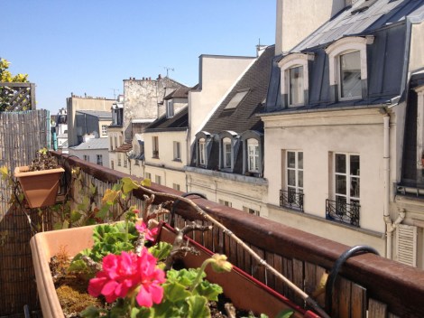 View over classic Paris rooftops. 