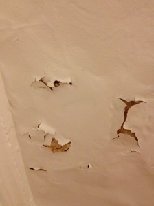 Ever-increasing damage in my little Paris place. But the real culprit is MOLD. I can't go near the stuff.