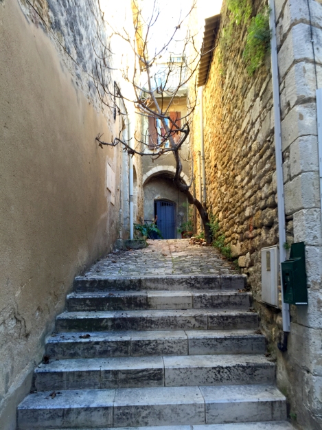 A sweet alley in Ménerbes, the town Peter Mayle made famous. ©Lisa Anselmo
